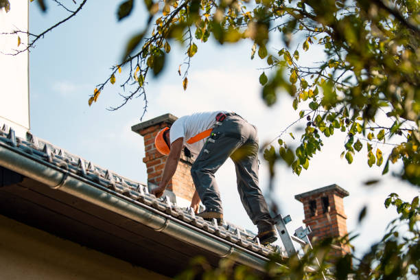 Best Metal Roofing Contractor  in Leachville, AR