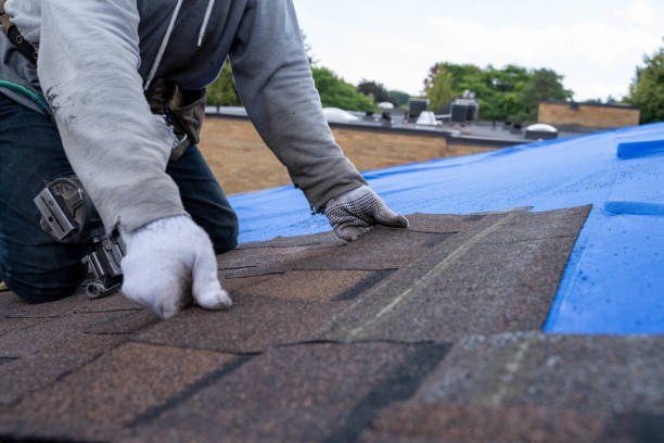 Best Best Roofing Contractors  in Leachville, AR