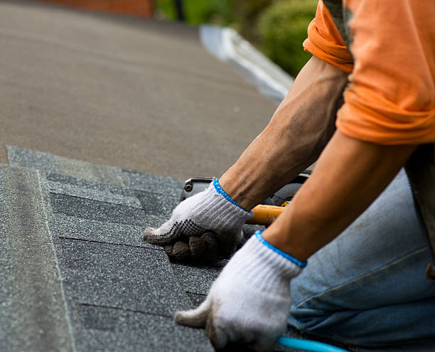 Best Roof Gutter Cleaning  in Leachville, AR