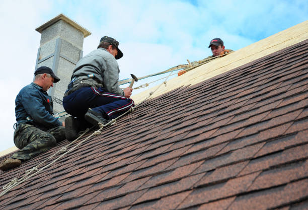 Best Residential Roofing Contractor  in Leachville, AR