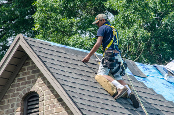 Best Commercial Roofing Services  in Leachville, AR